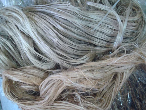 Kenaf Natural Fiber