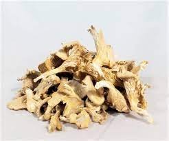 Dry Oyster Mushroom