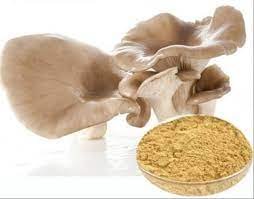 Mushroom Powder