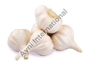 Fresh Garlic