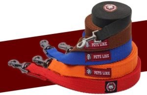 Dog Long Training Leash