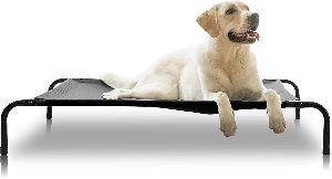 Elevated Dog Beds