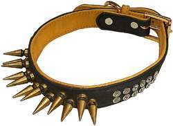 Dog Collars