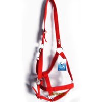 Horse Halters