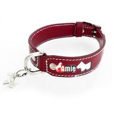 Dog Leather Collar
