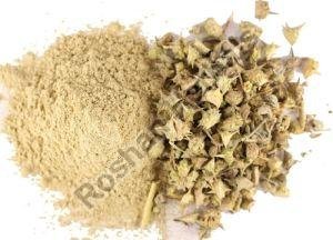 Gokshura Powder