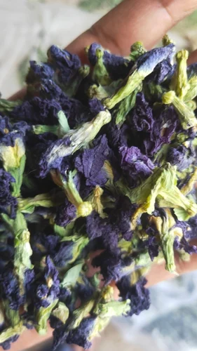 Dried Aparajita Flower