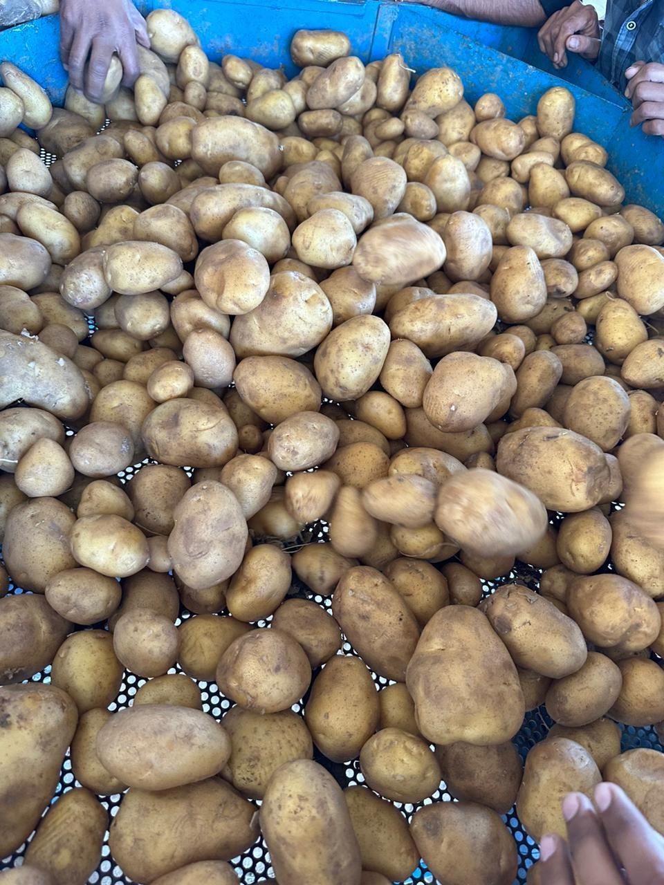 Potatos