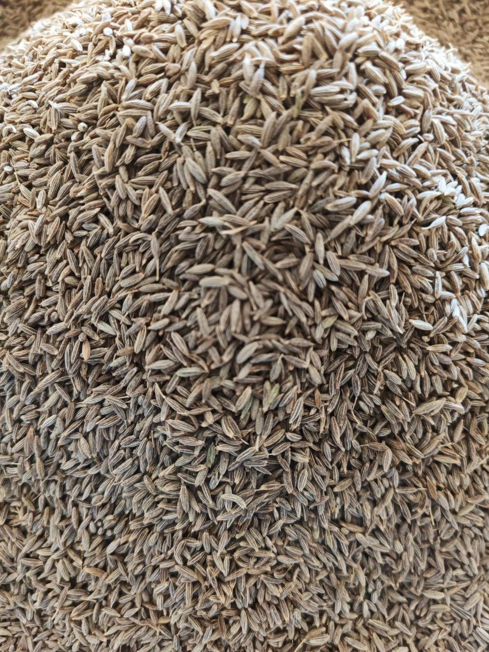 Cumin Seeds
