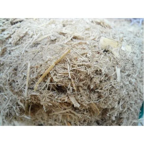 Bagasse