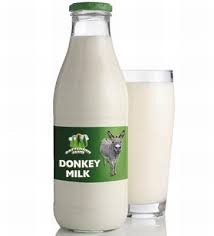 Donkey Milk