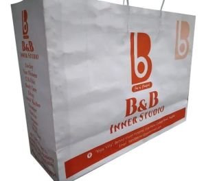 150 GSM Paper Bag