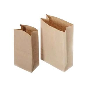 Grocery Paper Bag