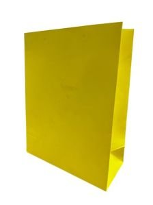 Paper Shopping Bag