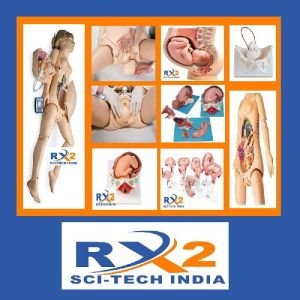 Birth Demonstration Model
