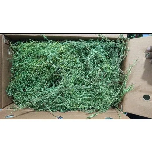 Fresh Thyme Leaves