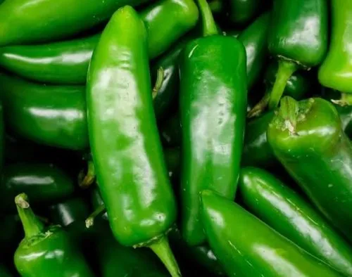 Jalapeno Slice Jar