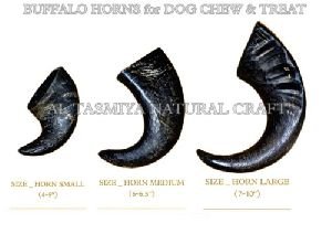 Buffalo Horn