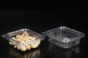 Disposable Food Container