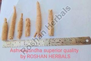 ASHWAGANDHA ROOTS