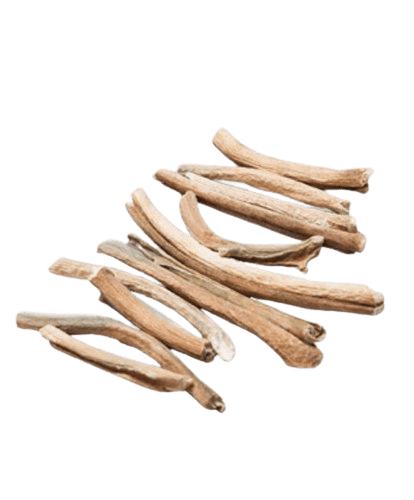 Indian Rustika Stems