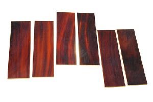 Buffalo Horn Plates