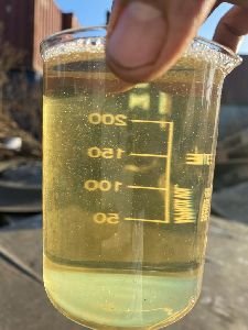 Biodiesel Fuel