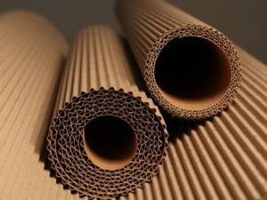 Corrugated Paper Roll