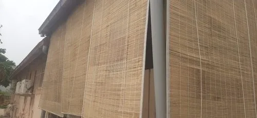 bamboo chick