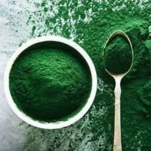 Dry Spirulina Powder