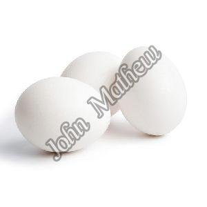 Fresh White Eggs