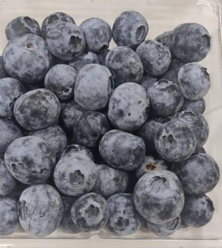 Blueberry