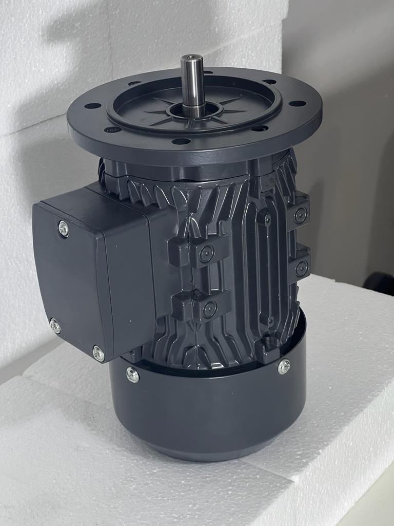 3 PHASE INDUCTION MOTOR