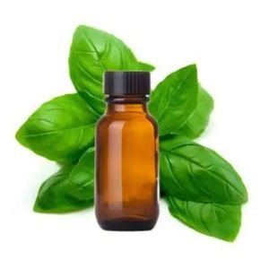 Basil Essential Oil