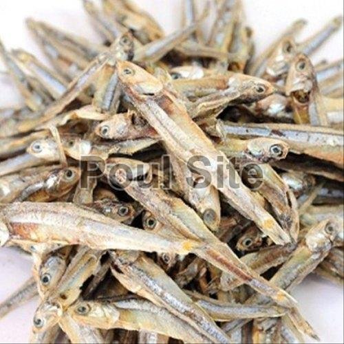 Dried Fashia Fish
