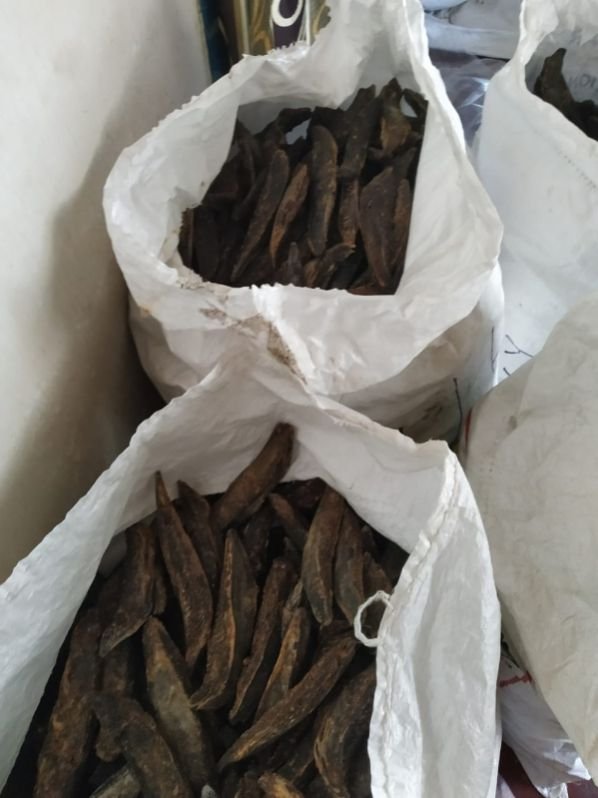 Tuna Dry Fish