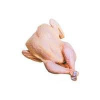 Frozen Duck Meat
