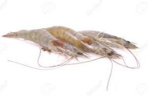 Whole Shrimp