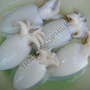 Frozen Cuttle Fish