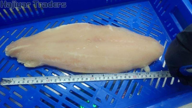 frozen fish