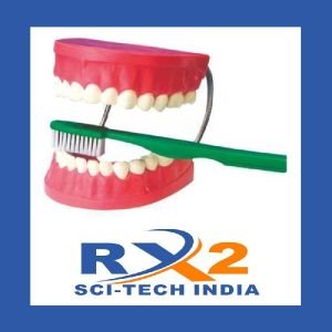 Dental Care Model
