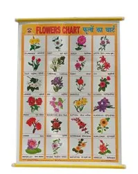 sheet flower