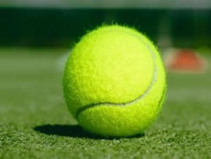 Sports Woolen Fabric