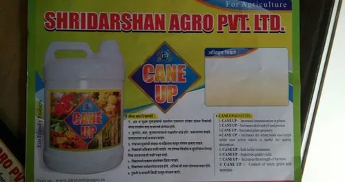 cane up