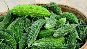 Fresh Bitter Gourd, Color : Green