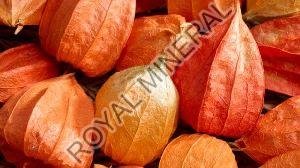 Ashwagandha Fruit