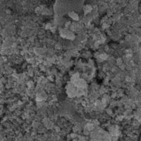 Silver Nanoparticles