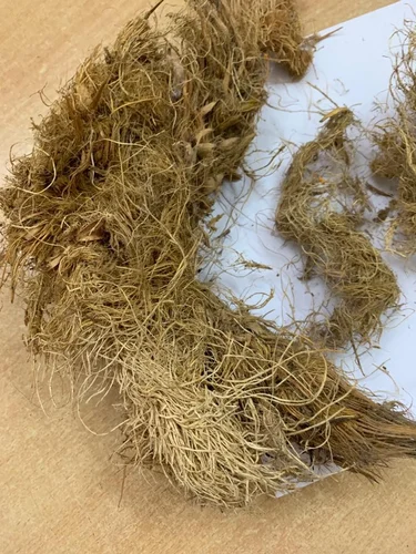 palm fiber