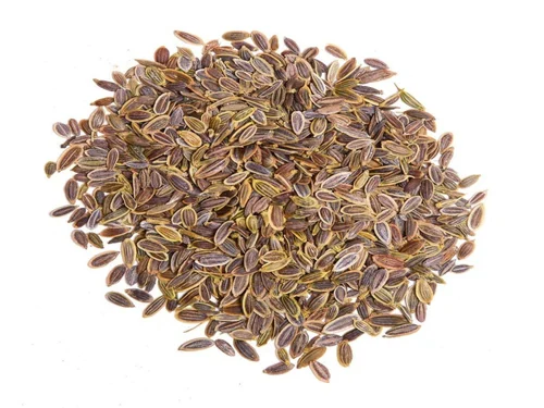 dill seeds