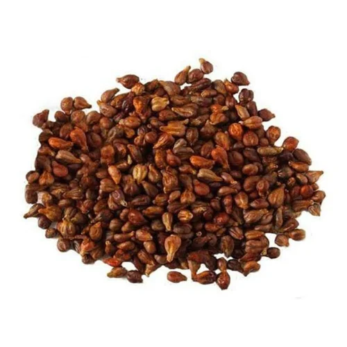 Grape Seeds